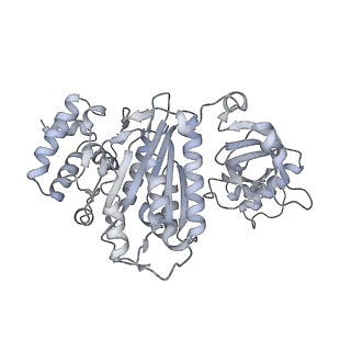 27928_8e6w_b_v1-3
Escherichia coli Rho-dependent transcription pre-termination complex containing 18 nt long RNA spacer, lambda-tR1 rut RNA, Mg-ADP-BeF3, and NusG; Rho part