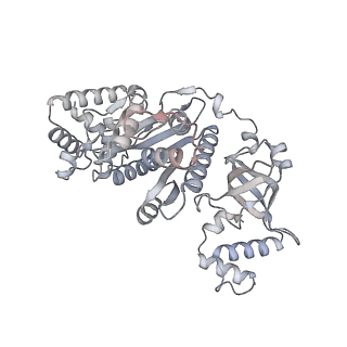 27928_8e6w_c_v1-3
Escherichia coli Rho-dependent transcription pre-termination complex containing 18 nt long RNA spacer, lambda-tR1 rut RNA, Mg-ADP-BeF3, and NusG; Rho part