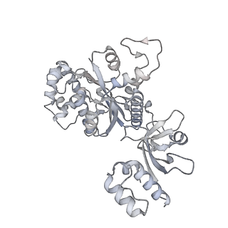 27928_8e6w_d_v1-3
Escherichia coli Rho-dependent transcription pre-termination complex containing 18 nt long RNA spacer, lambda-tR1 rut RNA, Mg-ADP-BeF3, and NusG; Rho part