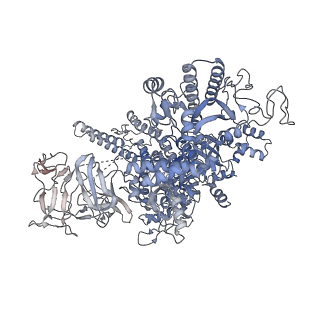 27930_8e6x_B_v1-4
Escherichia coli Rho-dependent transcription pre-termination complex containing 18 nt long RNA spacer, lambda-tR1 rut RNA, Mg-ADP-BeF3, and NusG; TEC part