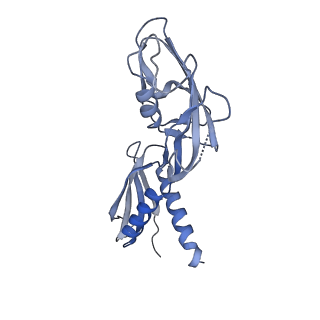 27930_8e6x_C_v1-4
Escherichia coli Rho-dependent transcription pre-termination complex containing 18 nt long RNA spacer, lambda-tR1 rut RNA, Mg-ADP-BeF3, and NusG; TEC part