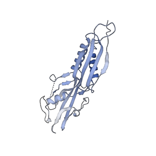 27930_8e6x_D_v1-4
Escherichia coli Rho-dependent transcription pre-termination complex containing 18 nt long RNA spacer, lambda-tR1 rut RNA, Mg-ADP-BeF3, and NusG; TEC part
