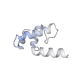 27930_8e6x_E_v1-4
Escherichia coli Rho-dependent transcription pre-termination complex containing 18 nt long RNA spacer, lambda-tR1 rut RNA, Mg-ADP-BeF3, and NusG; TEC part
