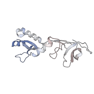 27930_8e6x_F_v1-4
Escherichia coli Rho-dependent transcription pre-termination complex containing 18 nt long RNA spacer, lambda-tR1 rut RNA, Mg-ADP-BeF3, and NusG; TEC part