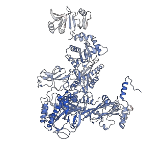 27931_8e6z_A_v1-3
Escherichia coli Rho-dependent transcription pre-termination complex containing 18 nt long RNA spacer, dC75 rut mimic RNA, Mg-ADP-BeF3, and NusG; TEC part