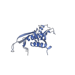 27931_8e6z_C_v1-3
Escherichia coli Rho-dependent transcription pre-termination complex containing 18 nt long RNA spacer, dC75 rut mimic RNA, Mg-ADP-BeF3, and NusG; TEC part
