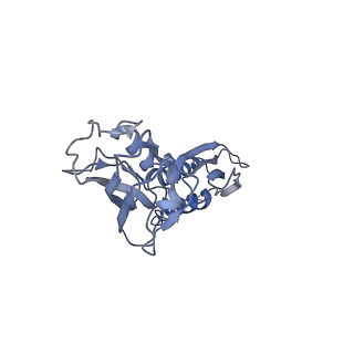 27931_8e6z_D_v1-3
Escherichia coli Rho-dependent transcription pre-termination complex containing 18 nt long RNA spacer, dC75 rut mimic RNA, Mg-ADP-BeF3, and NusG; TEC part