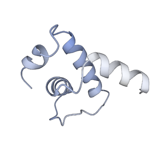 27931_8e6z_E_v1-3
Escherichia coli Rho-dependent transcription pre-termination complex containing 18 nt long RNA spacer, dC75 rut mimic RNA, Mg-ADP-BeF3, and NusG; TEC part