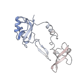 27931_8e6z_F_v1-3
Escherichia coli Rho-dependent transcription pre-termination complex containing 18 nt long RNA spacer, dC75 rut mimic RNA, Mg-ADP-BeF3, and NusG; TEC part