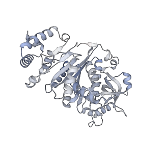 27932_8e70_a_v1-3
Escherichia coli Rho-dependent transcription pre-termination complex containing 18 nt long RNA spacer, dC75 rut mimic RNA, Mg-ADP-BeF3, and NusG; Rho hexamer part