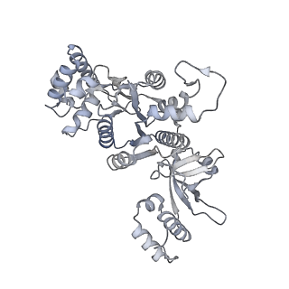 27932_8e70_b_v1-3
Escherichia coli Rho-dependent transcription pre-termination complex containing 18 nt long RNA spacer, dC75 rut mimic RNA, Mg-ADP-BeF3, and NusG; Rho hexamer part