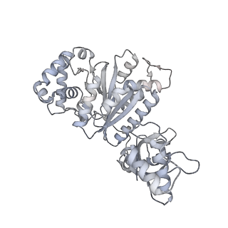 27932_8e70_c_v1-3
Escherichia coli Rho-dependent transcription pre-termination complex containing 18 nt long RNA spacer, dC75 rut mimic RNA, Mg-ADP-BeF3, and NusG; Rho hexamer part