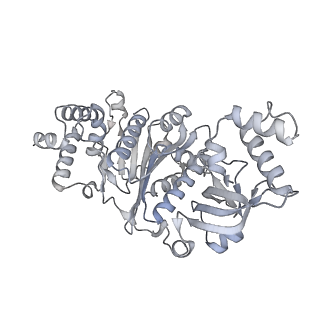 27932_8e70_d_v1-3
Escherichia coli Rho-dependent transcription pre-termination complex containing 18 nt long RNA spacer, dC75 rut mimic RNA, Mg-ADP-BeF3, and NusG; Rho hexamer part