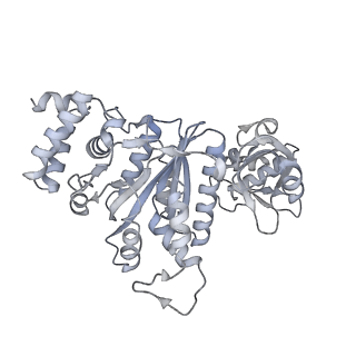 27932_8e70_f_v1-3
Escherichia coli Rho-dependent transcription pre-termination complex containing 18 nt long RNA spacer, dC75 rut mimic RNA, Mg-ADP-BeF3, and NusG; Rho hexamer part