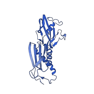 27935_8e74_B_v1-1
Mycobacterium tuberculosis RNAP paused elongation complex with NusG transcription factor