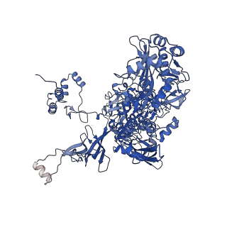 27935_8e74_C_v1-1
Mycobacterium tuberculosis RNAP paused elongation complex with NusG transcription factor