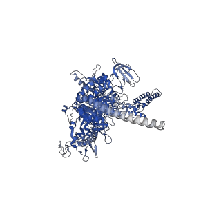 27935_8e74_D_v1-1
Mycobacterium tuberculosis RNAP paused elongation complex with NusG transcription factor
