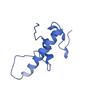 27935_8e74_E_v1-1
Mycobacterium tuberculosis RNAP paused elongation complex with NusG transcription factor