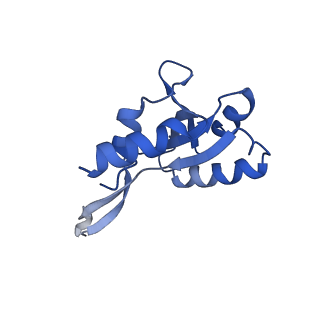 27935_8e74_Z_v1-1
Mycobacterium tuberculosis RNAP paused elongation complex with NusG transcription factor