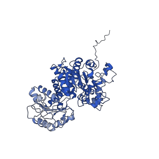 27937_8e78_A_v1-0
Cryo-EM structure of human ME3 in the presence of citrate