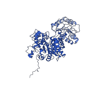 27937_8e78_B_v1-0
Cryo-EM structure of human ME3 in the presence of citrate