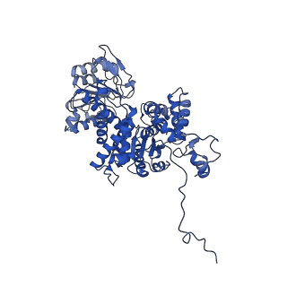 27937_8e78_C_v1-0
Cryo-EM structure of human ME3 in the presence of citrate