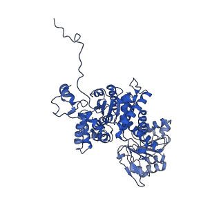 27937_8e78_D_v1-0
Cryo-EM structure of human ME3 in the presence of citrate