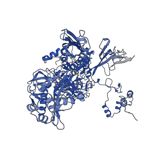 27938_8e79_C_v1-1
Mycobacterium tuberculosis RNAP paused elongation complex with Escherichia coli NusG transcription factor