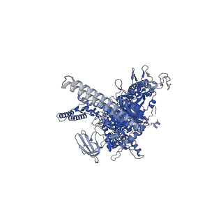 27938_8e79_D_v1-1
Mycobacterium tuberculosis RNAP paused elongation complex with Escherichia coli NusG transcription factor