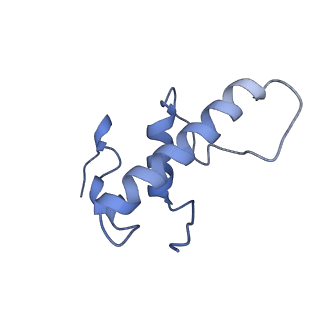 27938_8e79_E_v1-1
Mycobacterium tuberculosis RNAP paused elongation complex with Escherichia coli NusG transcription factor