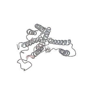 27940_8e7s_O_v1-0
III2IV2 respiratory supercomplex from Saccharomyces cerevisiae with 4 bound UQ6