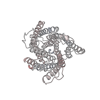 27940_8e7s_k_v1-0
III2IV2 respiratory supercomplex from Saccharomyces cerevisiae with 4 bound UQ6
