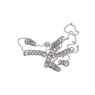 27940_8e7s_o_v1-0
III2IV2 respiratory supercomplex from Saccharomyces cerevisiae with 4 bound UQ6