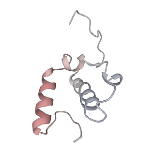 27940_8e7s_u_v1-0
III2IV2 respiratory supercomplex from Saccharomyces cerevisiae with 4 bound UQ6