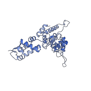 27941_8e7v_A_v1-0
Cryo-EM structure of substrate-free DNClpX.ClpP from singly capped particles