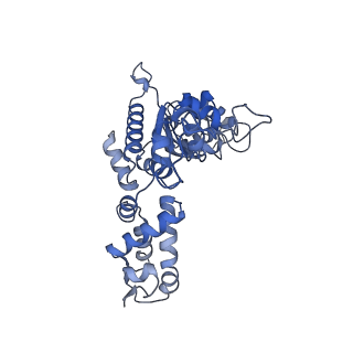 27941_8e7v_B_v1-0
Cryo-EM structure of substrate-free DNClpX.ClpP from singly capped particles