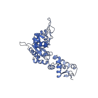 27941_8e7v_C_v1-0
Cryo-EM structure of substrate-free DNClpX.ClpP from singly capped particles