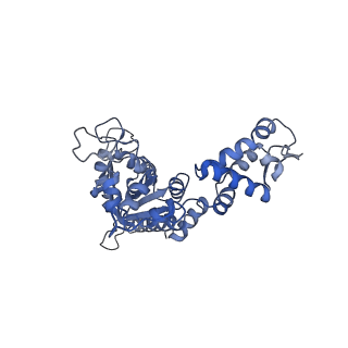 27941_8e7v_D_v1-0
Cryo-EM structure of substrate-free DNClpX.ClpP from singly capped particles