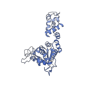27941_8e7v_E_v1-0
Cryo-EM structure of substrate-free DNClpX.ClpP from singly capped particles