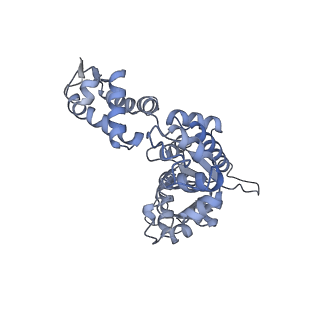 27941_8e7v_F_v1-0
Cryo-EM structure of substrate-free DNClpX.ClpP from singly capped particles