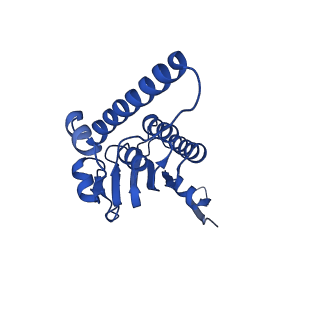 27941_8e7v_I_v1-0
Cryo-EM structure of substrate-free DNClpX.ClpP from singly capped particles