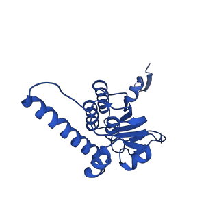 27941_8e7v_K_v1-0
Cryo-EM structure of substrate-free DNClpX.ClpP from singly capped particles
