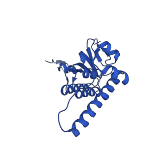 27941_8e7v_M_v1-0
Cryo-EM structure of substrate-free DNClpX.ClpP from singly capped particles