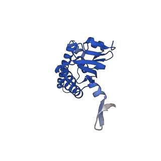 27941_8e7v_h_v1-0
Cryo-EM structure of substrate-free DNClpX.ClpP from singly capped particles