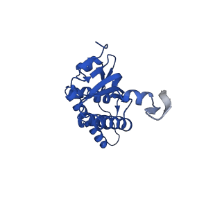 27941_8e7v_i_v1-0
Cryo-EM structure of substrate-free DNClpX.ClpP from singly capped particles