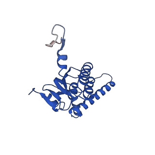 27941_8e7v_k_v1-0
Cryo-EM structure of substrate-free DNClpX.ClpP from singly capped particles