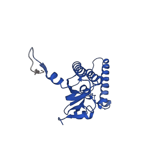 27941_8e7v_l_v1-0
Cryo-EM structure of substrate-free DNClpX.ClpP from singly capped particles