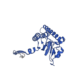 27941_8e7v_m_v1-0
Cryo-EM structure of substrate-free DNClpX.ClpP from singly capped particles