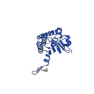 27941_8e7v_n_v1-0
Cryo-EM structure of substrate-free DNClpX.ClpP from singly capped particles