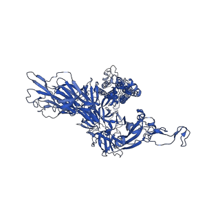 30998_7e7b_C_v1-1
Cryo-EM structure of the SARS-CoV-2 furin site mutant S-Trimer from a subunit vaccine candidate
